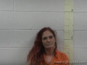 Mugshot of Sherri L Boyd booked in Perry County, Tennessee on August 3, 2026