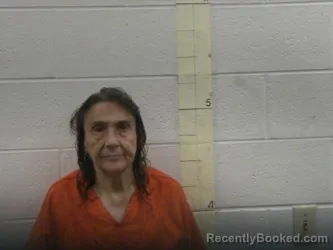 Mugshot of Sherry J Jenkins booked in Perry County, Tennessee on September 19, 2026