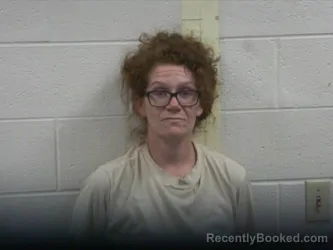 Mugshot of Chelsey D Simmons booked in Perry County, Tennessee on September 12, 2026
