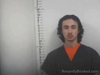 Mugshot of SANTIAGO ALVAREZ