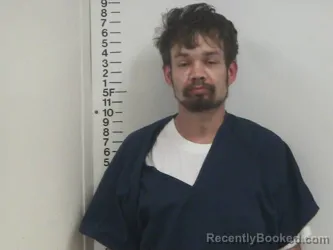 Mugshot of BRIAN M JR CARLTON