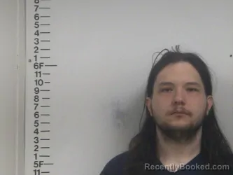 Mugshot of BRIAN D EMERTON