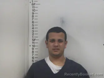 Mugshot of BESHOY S FARAG