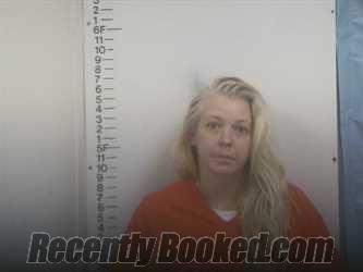 Booking photo from Putnam County, Tennessee