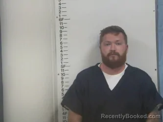 Mugshot of TYLER L HENRY