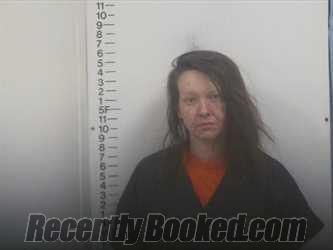 Booking photo from Putnam County, Tennessee