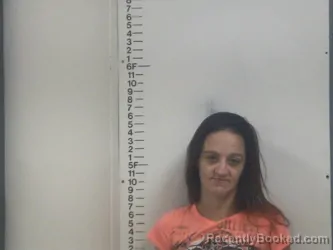Mugshot of AMY M SELLS