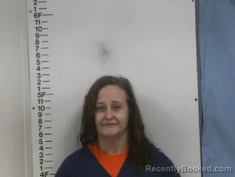 Mugshot of BRANDY D WILSON