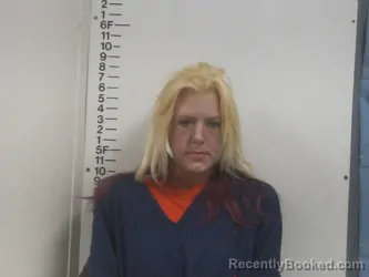 Mugshot of MEGAN T WEBB