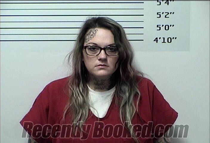 Booking photo from Rhea County, Tennessee