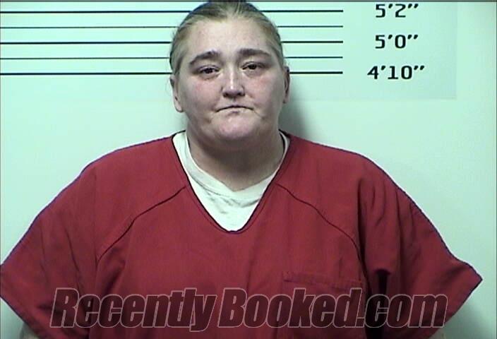 Booking photo from Rhea County, Tennessee