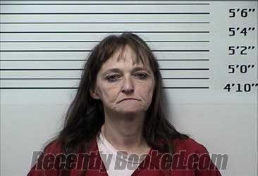 Booking photo from Rhea County, Tennessee