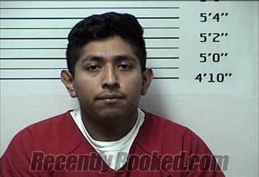 Booking photo from Rhea County, Tennessee