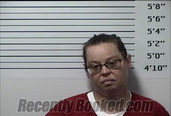 Booking photo from Rhea County, Tennessee