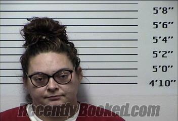 Booking photo from Rhea County, Tennessee