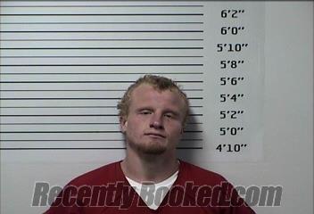 Booking photo from Rhea County, Tennessee