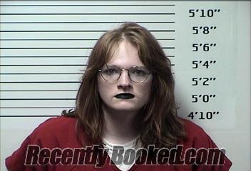 Booking photo from Rhea County, Tennessee
