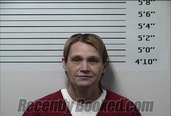 Booking photo from Rhea County, Tennessee