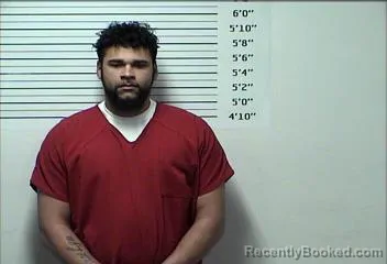 Mugshot of STEVON KRISTOPHER DYLAN ROBINSON