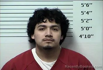 Booking photo from Rhea County, Tennessee