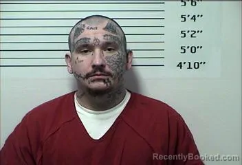 Mugshot of ERIC DOUGLAS  SHIFFLETT