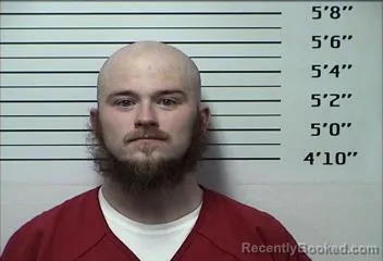 Mugshot of TRACY KEITH WALKER