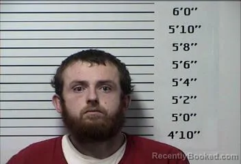 Mugshot of MITCHELL LEE BOLES
