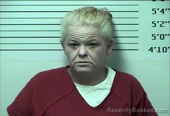 Mugshot of NICOLE LEE ROBINSON