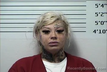 Mugshot of KRYSTIN LEWIS RINER