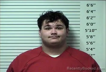 Mugshot of PATRICK JAMES MITCHELL