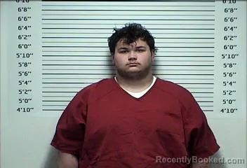 Mugshot of PATRICK JAMES MITCHELL