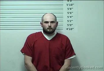 Mugshot of DYLAN L BURROW