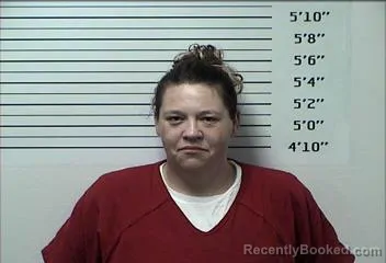 Mugshot of LACI DANNIELL CLINGAN