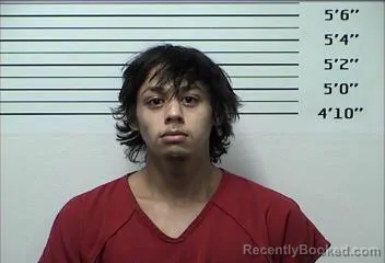 Mugshot of CHARLES LEE GILLESPIE