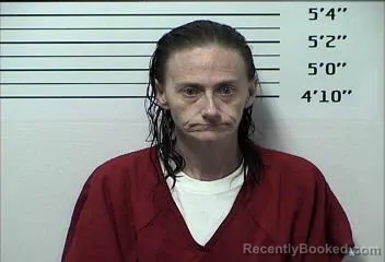 Mugshot of CAROLYN RENA MCKENZIE booked in Rhea County, Tennessee on April 2, 2026