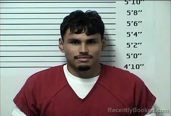 Mugshot of DENIS ALEXANDER REINA PADILLA booked in Rhea County, Tennessee on April 5, 2026