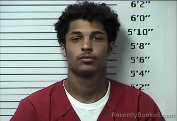 Mugshot of ELIJAH DISHON HICKS booked in Rhea County, Tennessee on April 15, 2026