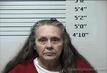 Mugshot of CONNIE JONE RAY booked in Rhea County, Tennessee on April 16, 2026