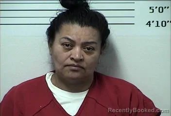 Mugshot of GREGORIA RIOS booked in Rhea County, Tennessee on April 21, 2026