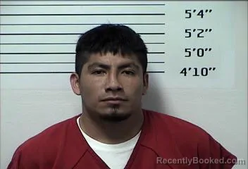 Mugshot of LUIS ADRIAN MONTERO SUAREZ booked in Rhea County, Tennessee on May 4, 2026
