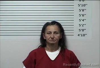 Mugshot of ROBIN MICHELLE JONES booked in Rhea County, Tennessee on May 5, 2026