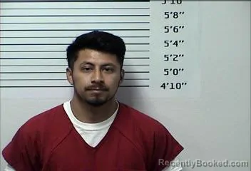 Mugshot of BRYAN ALONZO booked in Rhea County, Tennessee on May 7, 2026