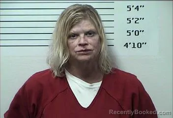 Mugshot of CYNTHIA MARIE GROGITSKY booked in Rhea County, Tennessee on May 10, 2026