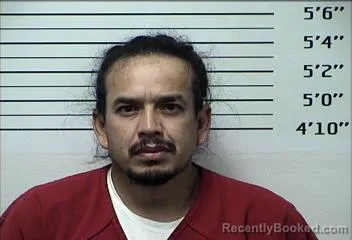 Mugshot of VICENTE MAURICIO HERNANDEZ MELCHOR booked in Rhea County, Tennessee on May 11, 2026