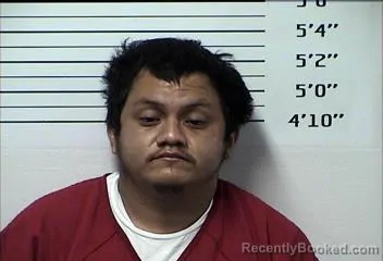 Mugshot of MANUEL LUNA VALDEZ booked in Rhea County, Tennessee on May 11, 2026