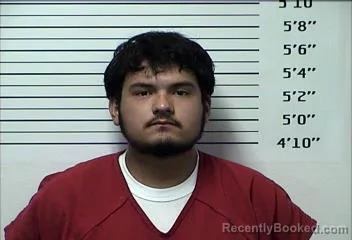 Mugshot of JOHAN GALVEZ LINARES booked in Rhea County, Tennessee on May 31, 2026