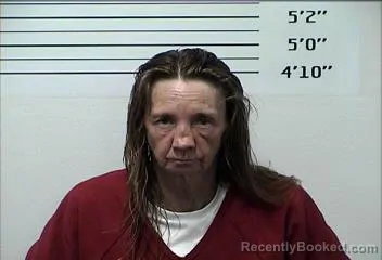 Mugshot of SANDRA LYNN HENDON booked in Rhea County, Tennessee on June 4, 2026