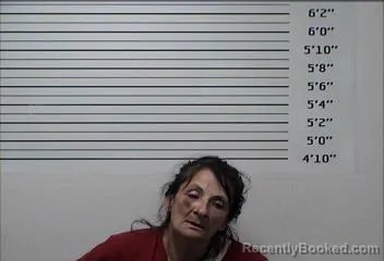 Mugshot of CAROLYN GRACE STEPHENS booked in Rhea County, Tennessee on June 15, 2026