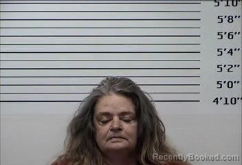 Mugshot of ALESIA ANN WILLIAMS booked in Rhea County, Tennessee on June 20, 2026