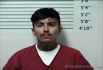 Mugshot of FRANKLIN RICHARD LOPEZ booked in Rhea County, Tennessee on June 22, 2026